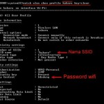 Cara Mengetahui Password Wifi Yang Tersimpan di Komputer