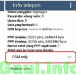 Cara Ampuh Menggunakan Kuota 4G di HP 3G Secara Work