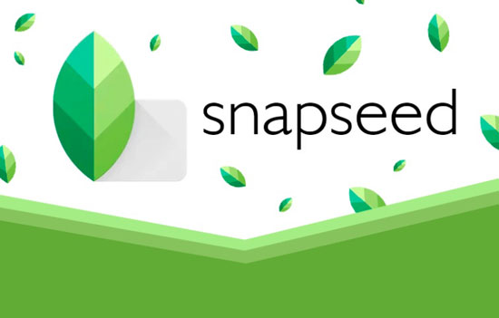 How to Use Snapseed for Beginners & Its Features