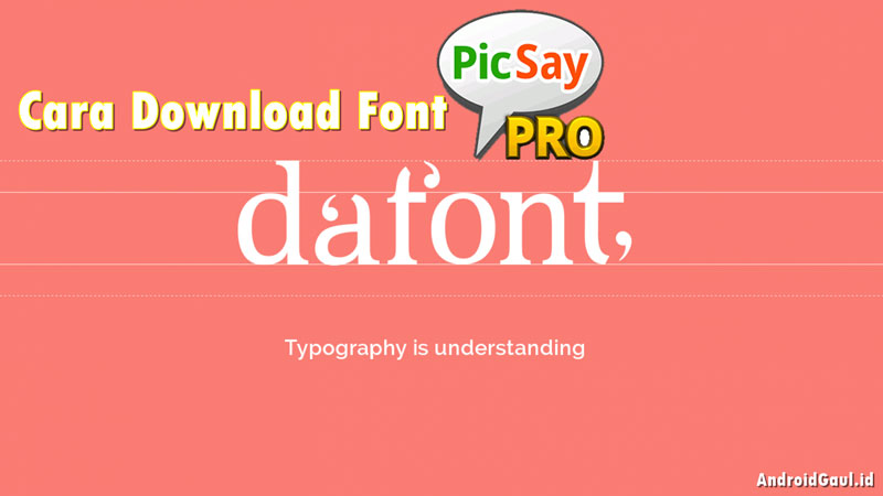 Dafont PicSay Pro