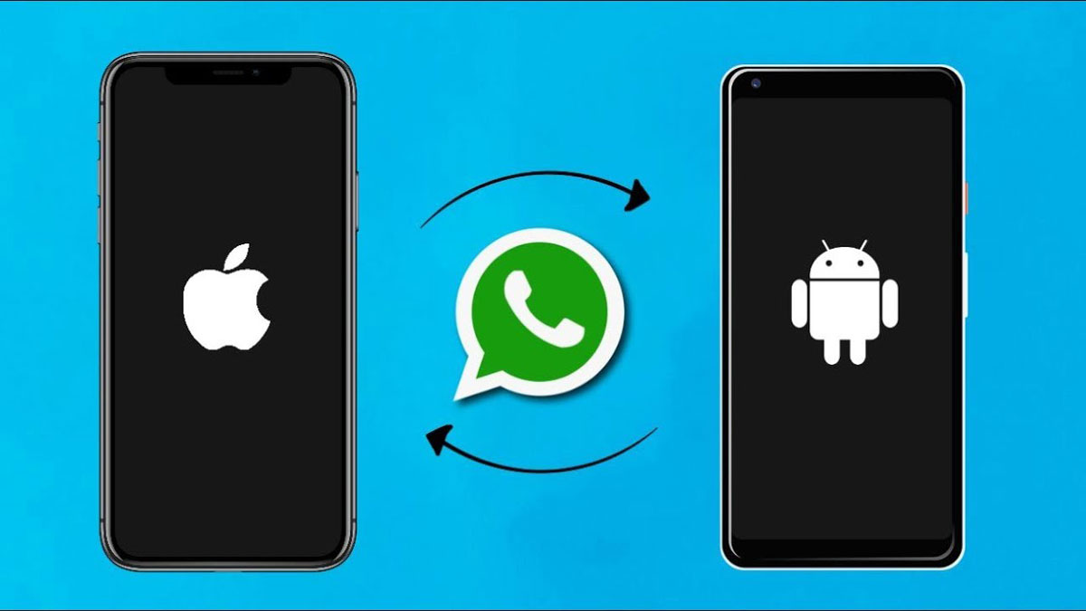Cara Backup WhatsApp iPhone Ke Android